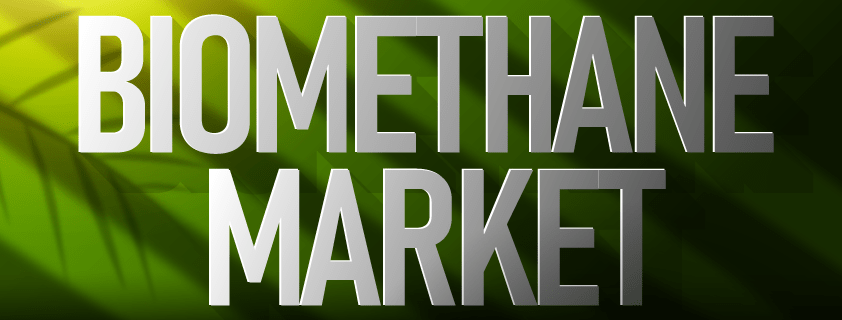 Bio-methane Market