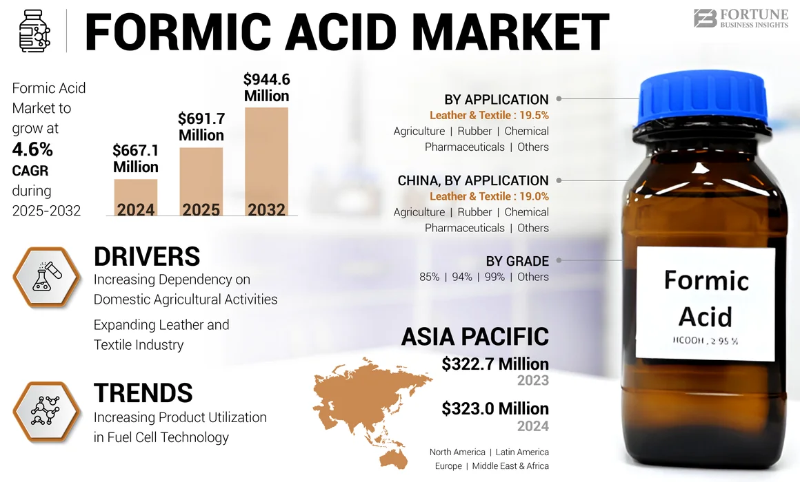 Formic Acid Market