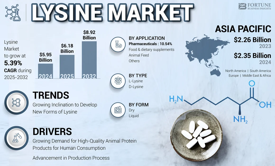 Lysine Market