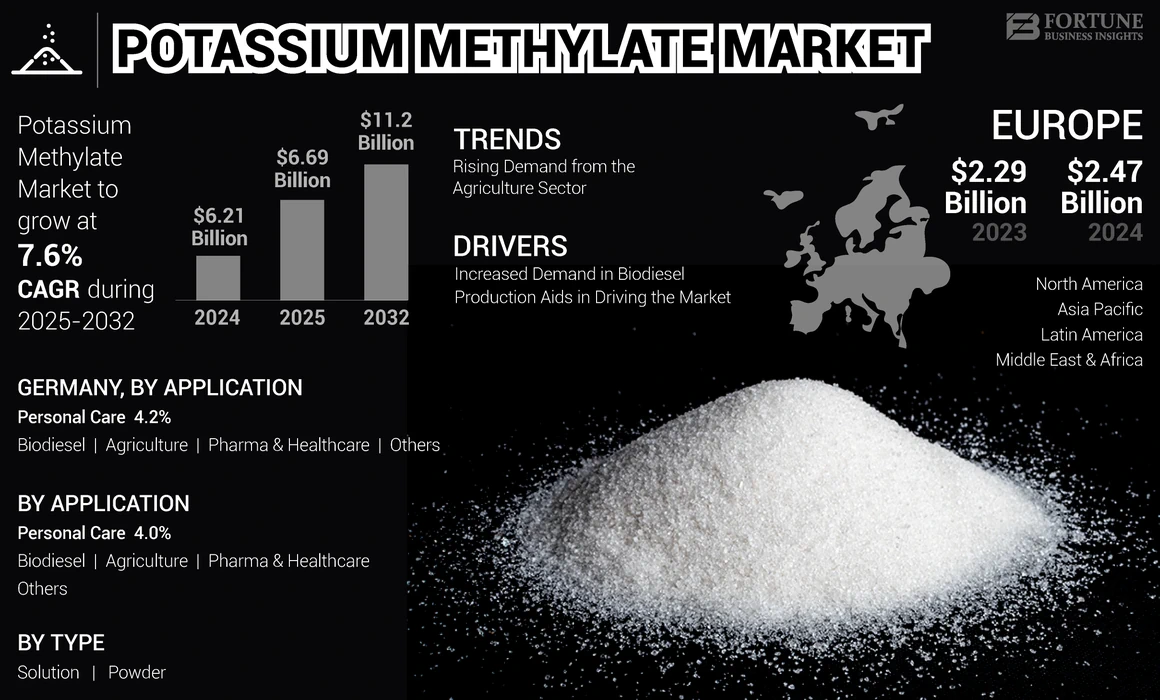 Potassium Methylate Market