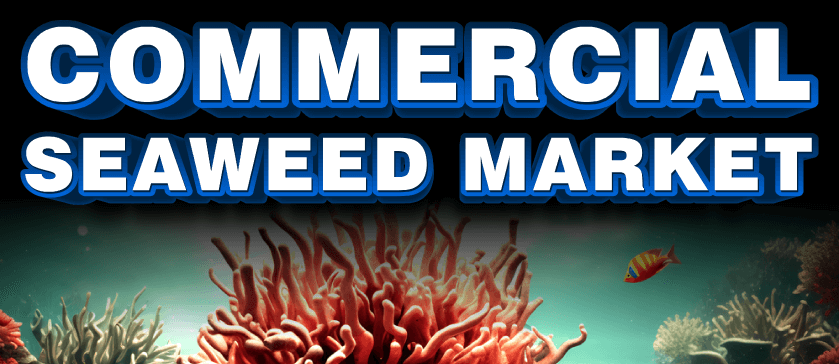 Commercial Seaweed Market