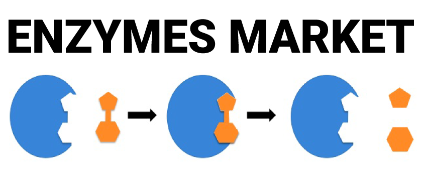 Enzymes Market