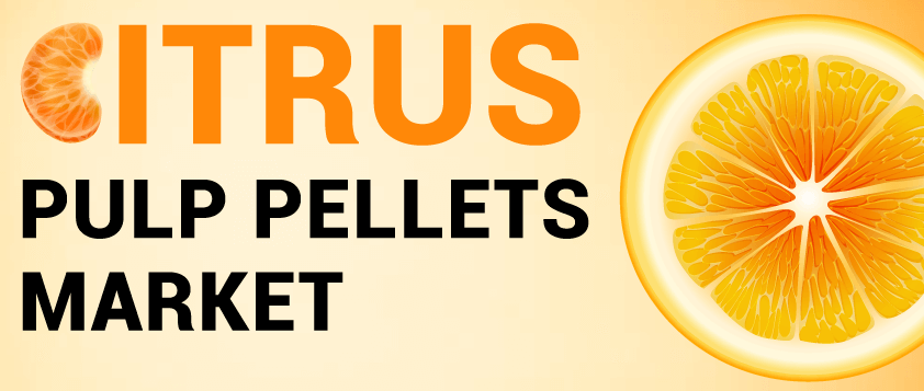 Markt für Zitruszellstoffpellets