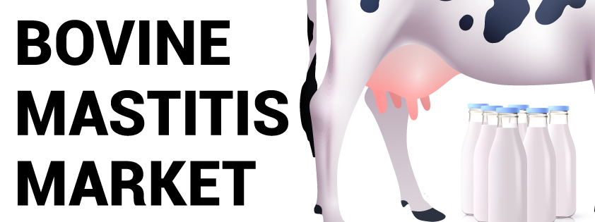 Rindermastitis-Markt