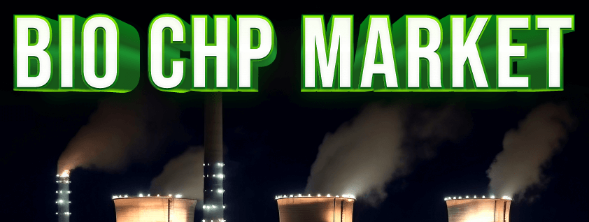 Bio CHP Market