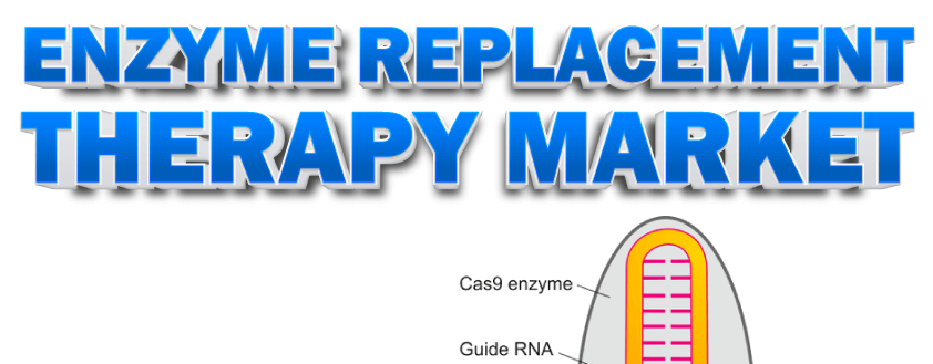 酵素補充療法市場