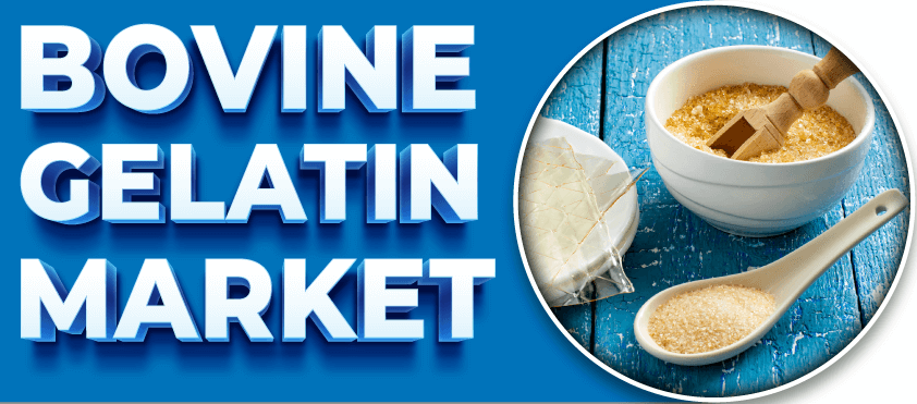 Bovine Gelatin Market