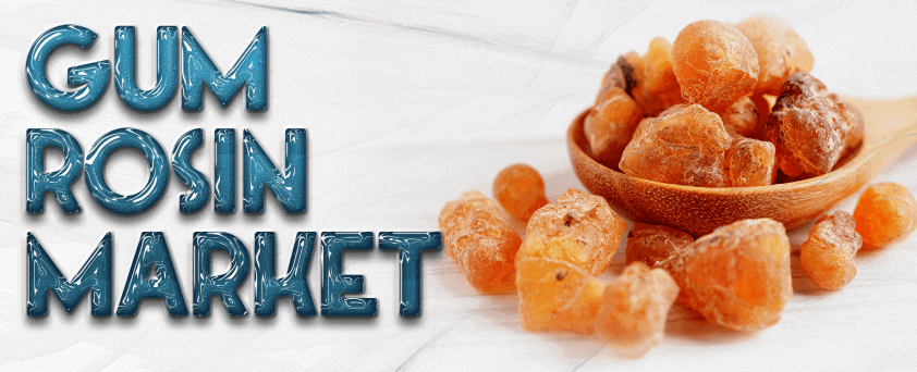 Gum Rosin Market