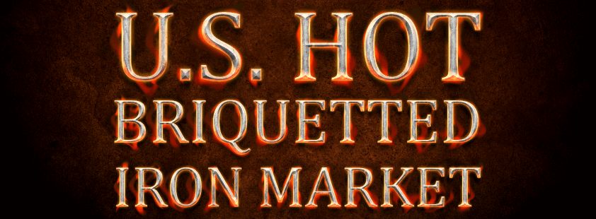 米国の熱練炭市場