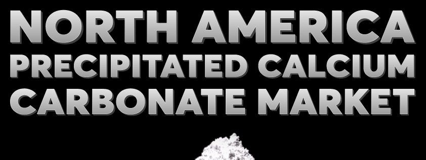 北米の沈降炭酸カルシウム市場
