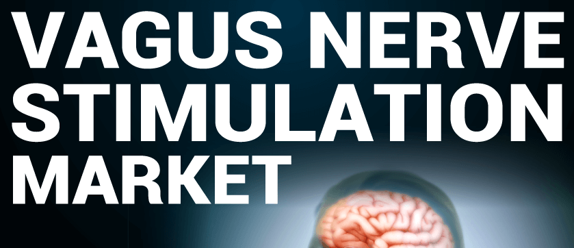 Vagus Nerve Stimulation vns Market