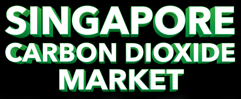 Singapore Carbon Dioxide Market