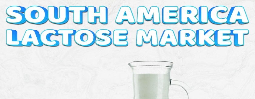 South America Lactose Market